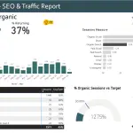 seo report year subscription